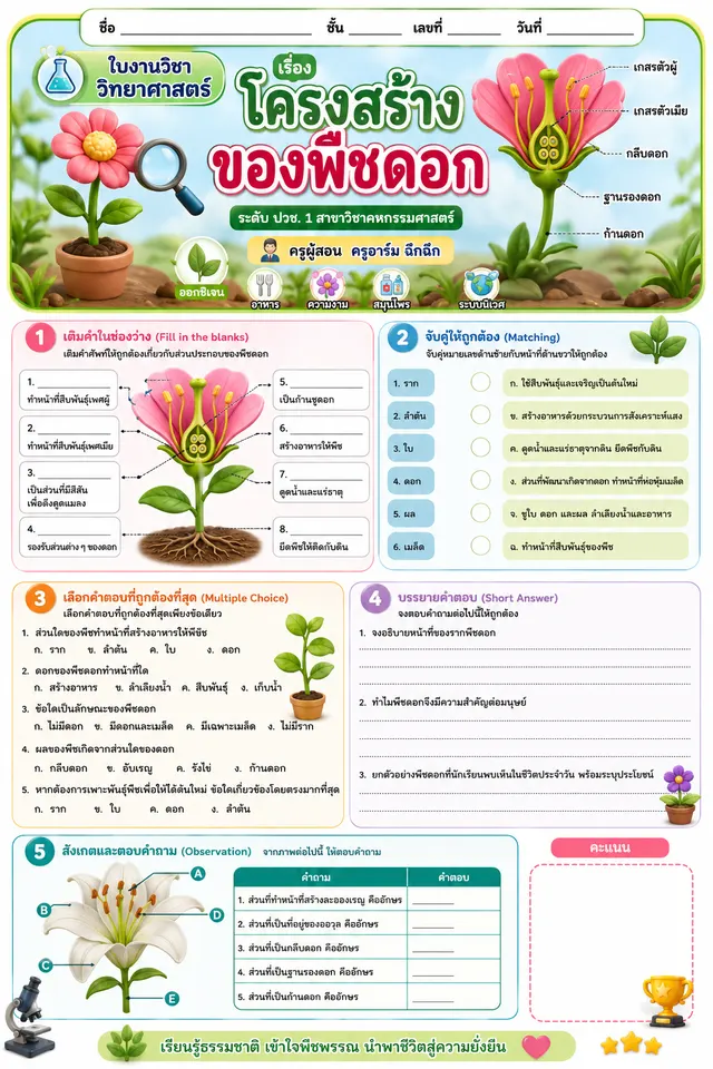ใบงาน วิทยาศาสตร์