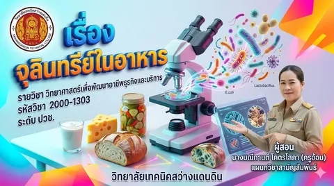 ปกสไลด์