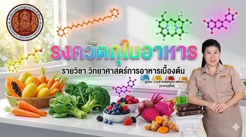 gemini หน้าปกรายวิชา
