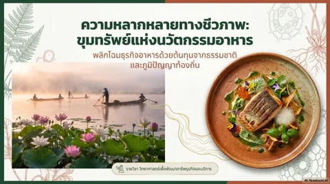 สไลด์