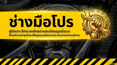ช่างมือโปร