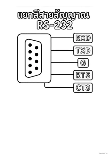 RS 232