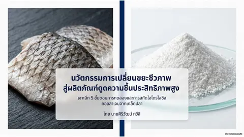 Slide PPT