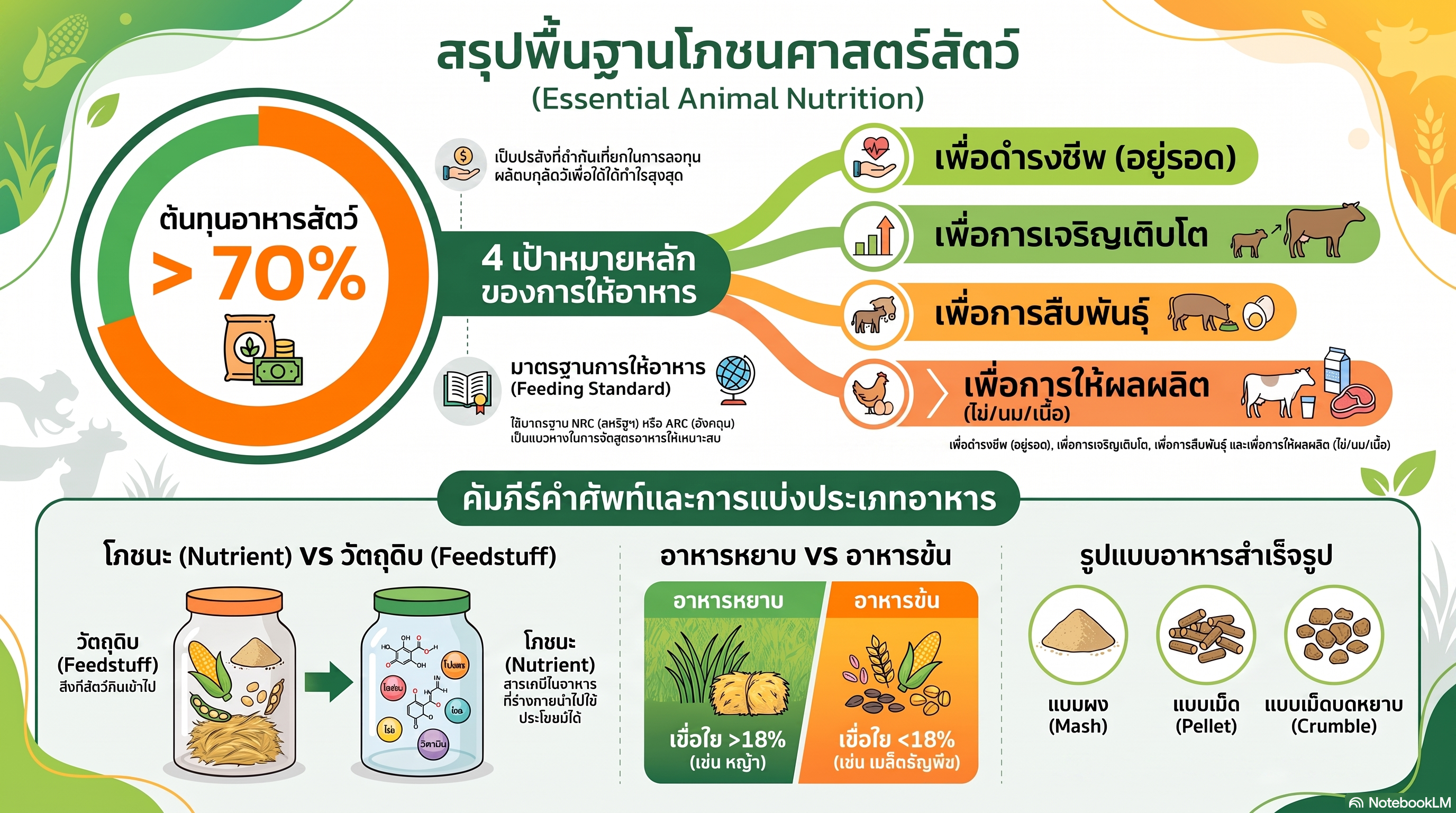 อินโฟกราฟิก