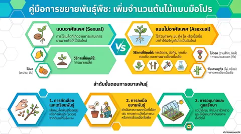 การขยายพันธุ์พืช
