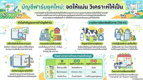 อินโฟกราฟิก