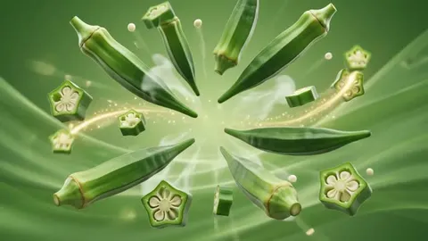 Intro
