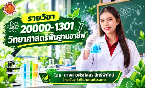 นางสาวศิรภัสสร สิทธิพิทักษ์