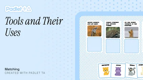 Tools and their use