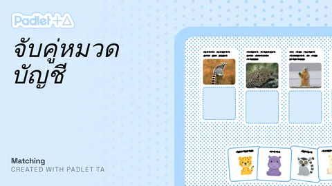 จับคู่หมวดบัญชี